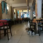 Hotel Setenay 2*